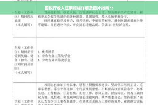 国税厅收入证明模板详解及图片指南??