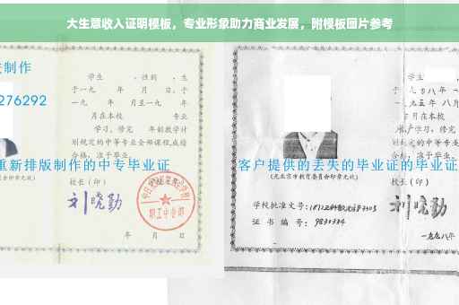 大生意收入证明模板，专业形象助力商业发展，附模板图片参考