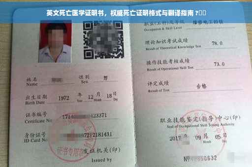 英文死亡医学证明书，权威死亡证明格式与翻译指南 ?⚡️