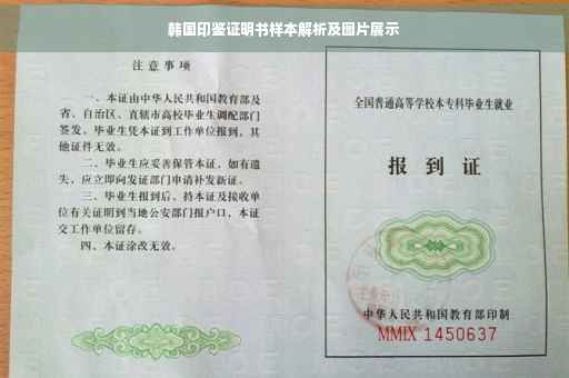 韩国印鉴证明书样本解析及图片展示