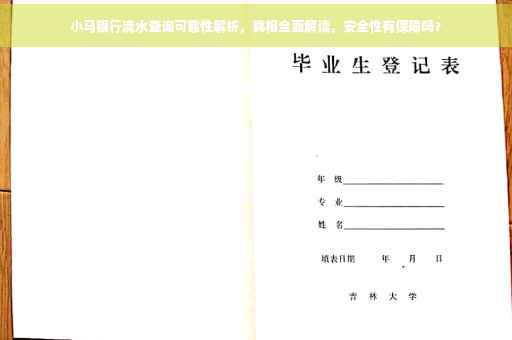 小马银行流水查询可靠性解析，真相全面解读，安全性有保障吗？