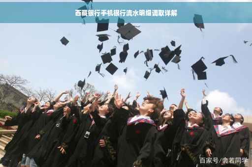西藏银行手机银行流水明细调取详解