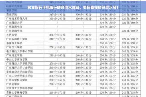农业银行手机银行转账流水详解，如何查找转账流水号？