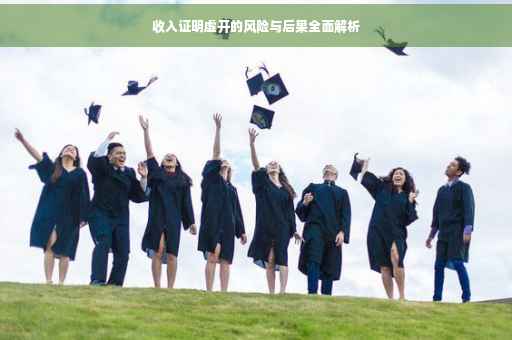 收入证明虚开的风险与后果全面解析