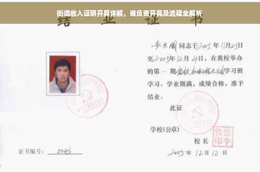 街道收入证明开具详解，谁负责开具及流程全解析