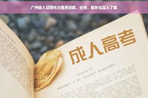 广州收入证明代办费用详解，价格、解析与深入了解