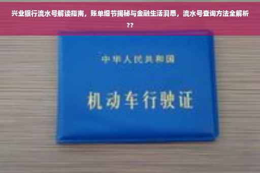 兴业银行流水号解读指南，账单细节揭秘与金融生活洞悉，流水号查询方法全解析??