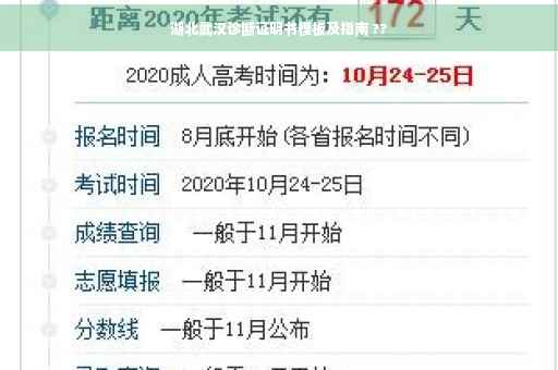 湖北武汉诊断证明书模板及指南 ??