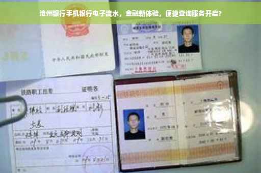 沧州银行手机银行电子流水，金融新体验，便捷查询服务开启?