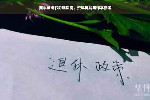 商事证明书办理指南，资料详解与样本参考