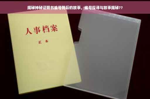 揭秘神秘证明书编号背后的故事，编号探寻与故事揭秘??