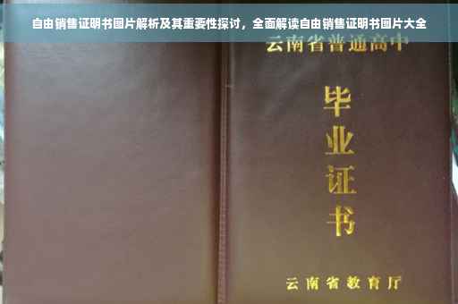 自由销售证明书图片解析及其重要性探讨，全面解读自由销售证明书图片大全