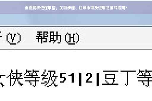 全面解析低保申请，关键步骤、注意事项及证明书撰写指南?