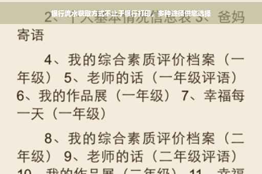 银行流水获取方式不止于银行打印，多种途径供您选择