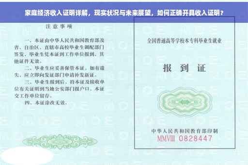 家庭经济收入证明详解，现实状况与未来展望，如何正确开具收入证明？