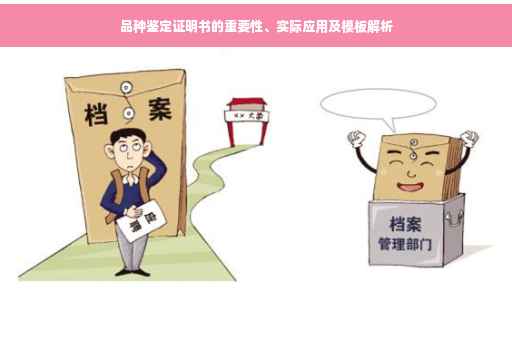 品种鉴定证明书的重要性、实际应用及模板解析
