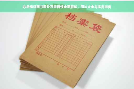 非危房证明书图片及重要性全面解析，图片大全与实用指南