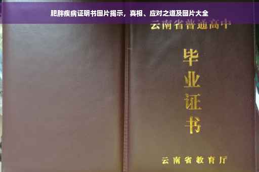 肥胖疾病证明书图片揭示，真相、应对之道及图片大全