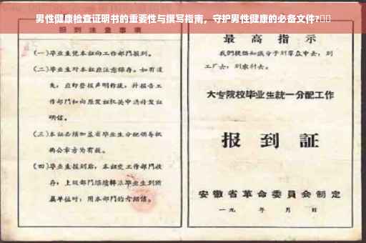 男性健康检查证明书的重要性与撰写指南，守护男性健康的必备文件?⚡️
