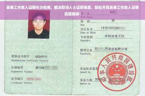 嘉善工作收入证明代办指南，解决职场人士证明难题，轻松开具嘉善工作收入证明流程揭秘！