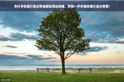 农行手机银行流水账单轻松导出攻略，带你一步步搞定银行流水明细！