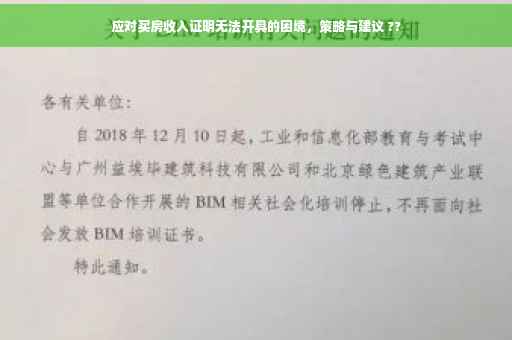 应对买房收入证明无法开具的困境，策略与建议 ??