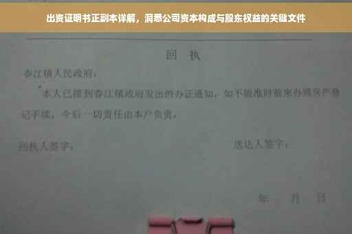 出资证明书正副本详解，洞悉公司资本构成与股东权益的关键文件