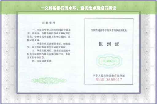 一文解析银行流水账，查询地点及细节解读