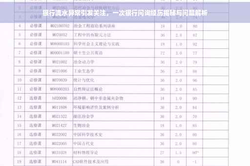 银行流水异常引发关注，一次银行问询经历揭秘与问题解析