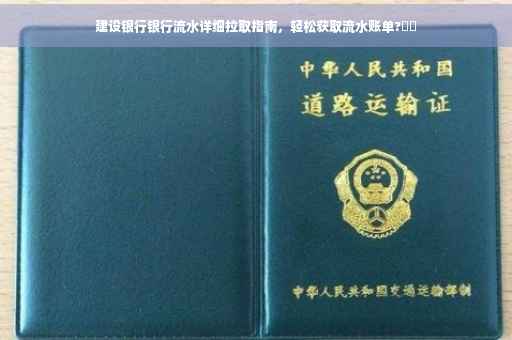 建设银行银行流水详细拉取指南，轻松获取流水账单?⚡️