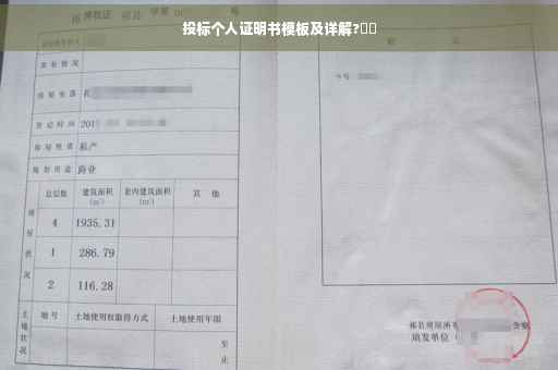 投标个人证明书模板及详解?⚡️