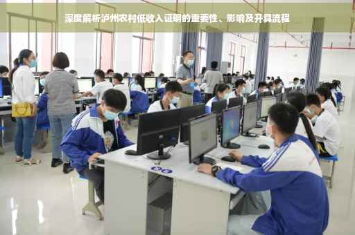 深度解析泸州农村低收入证明的重要性、影响及开具流程