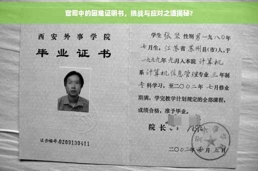 官司中的困难证明书，挑战与应对之道揭秘?