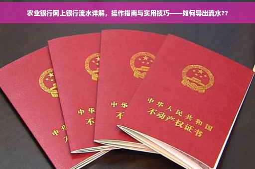 农业银行网上银行流水详解，操作指南与实用技巧——如何导出流水??
