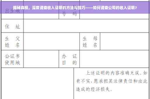 揭秘真相，深度调查收入证明的方法与技巧——如何调查公司的收入证明？