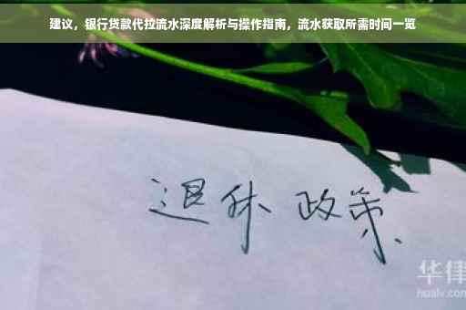 建议，银行贷款代拉流水深度解析与操作指南，流水获取所需时间一览