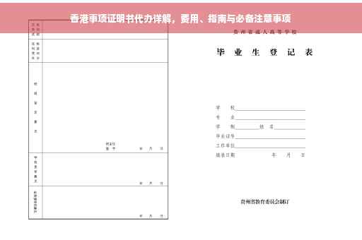 香港事项证明书代办详解，费用、指南与必备注意事项