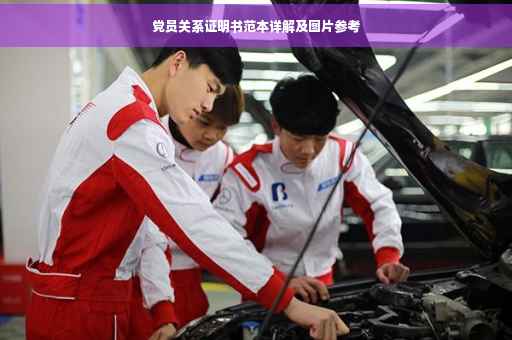 党员关系证明书范本详解及图片参考
