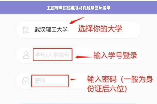 工伤等级伤残证明书详解及图片展示