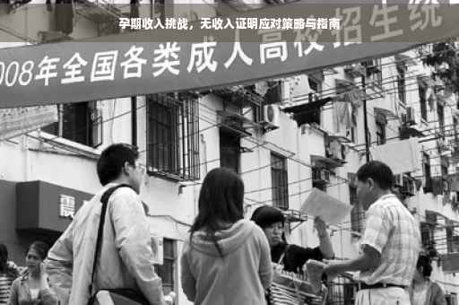 孕期收入挑战，无收入证明应对策略与指南