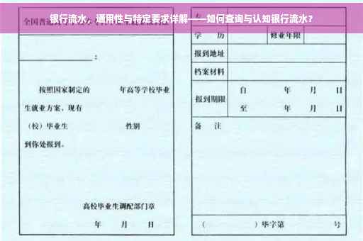 银行流水，通用性与特定要求详解——如何查询与认知银行流水？