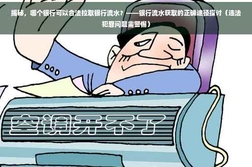揭秘，哪个银行可以合法拉取银行流水？——银行流水获取的正确途径探讨（违法犯罪问题需警惕）