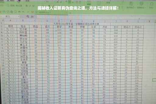 揭秘收入证明真伪查询之道，方法与途径详解！