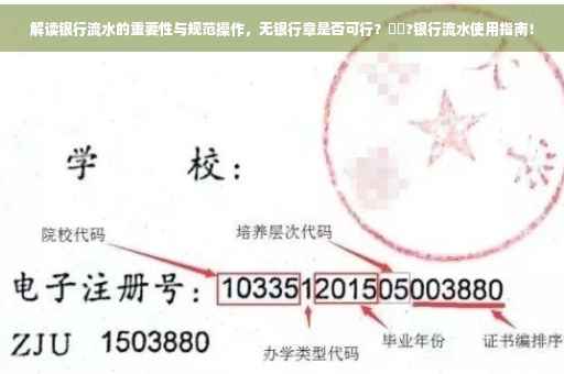 解读银行流水的重要性与规范操作，无银行章是否可行？⚡️?银行流水使用指南！