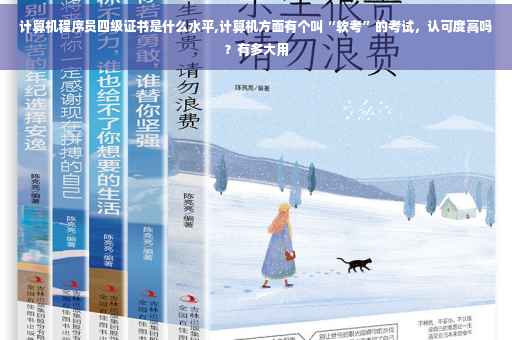 计算机程序员四级证书是什么水平,计算机方面有个叫“软考”的考试，认可度高吗？有多大用