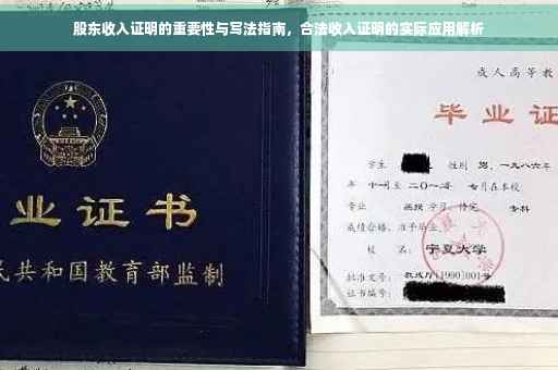 股东收入证明的重要性与写法指南，合法收入证明的实际应用解析