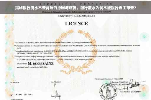 揭秘银行流水不查背后的原因与逻辑，银行流水为何不被银行自主审查？