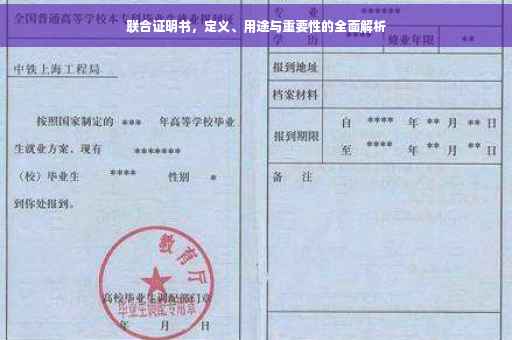 联合证明书，定义、用途与重要性的全面解析