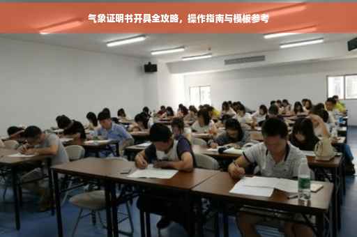 气象证明书开具全攻略，操作指南与模板参考