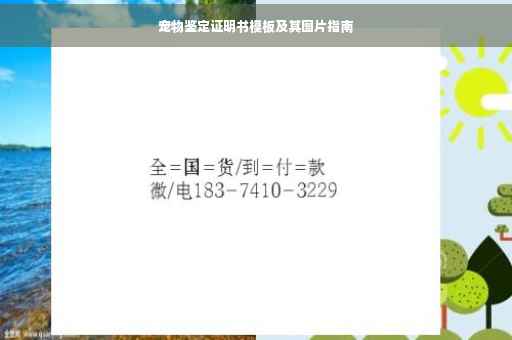 宠物鉴定证明书模板及其图片指南